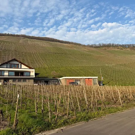 Rebenquartier Apartment