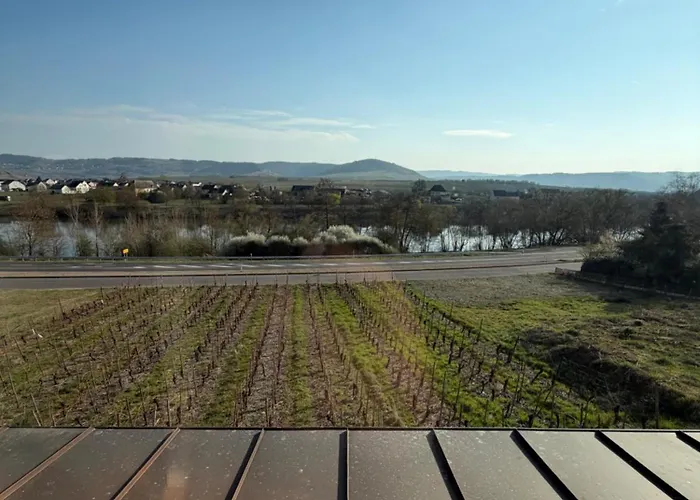 Apartment Rebenquartier Klusserath