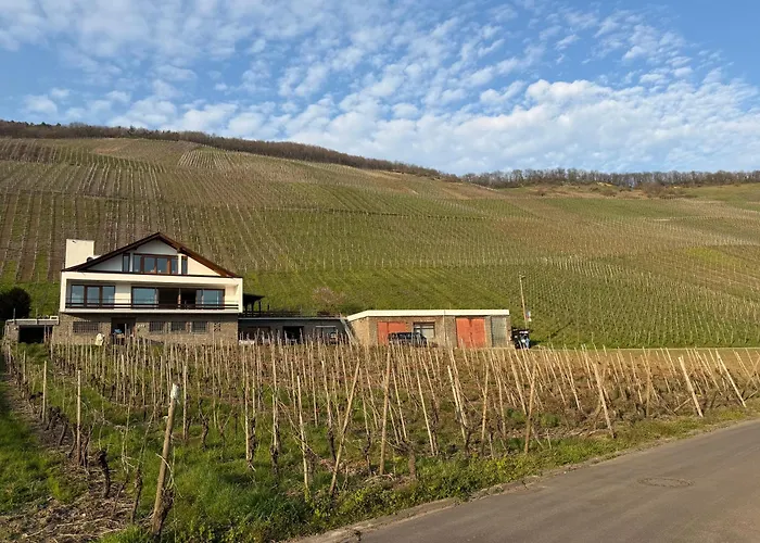 Rebenquartier Apartment